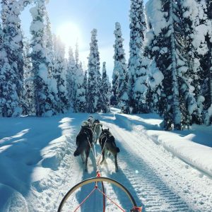 voyage incentive aventure laponie