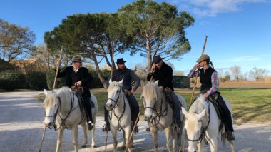 séminaire en Camargue