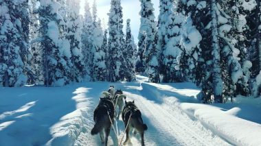 voyage incentive aventure laponie